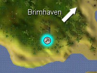 檔案:Brimhaven site.jpg