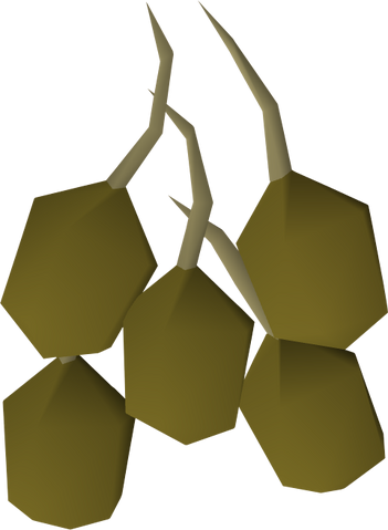 File:Potato seed detail.png