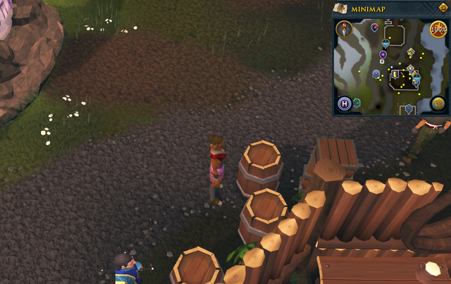 File:Simple clue Pick and Lute barrel.png