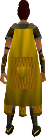 File:Team-11 cape equipped.png