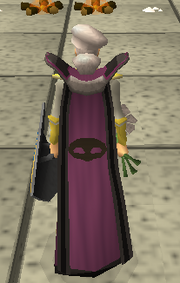 ThievingCape.png