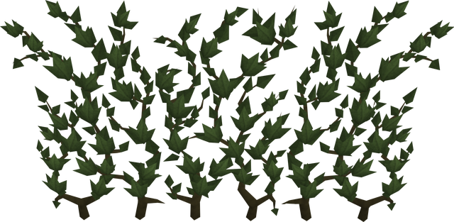 File:Ivy.png