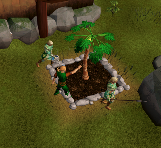 File:Picking papayas.png