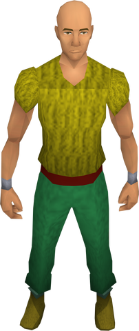 File:Retro kebbit-skin pumps.png