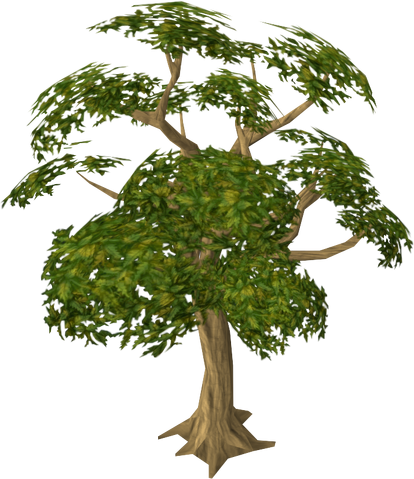 File:Mahogany tree.png