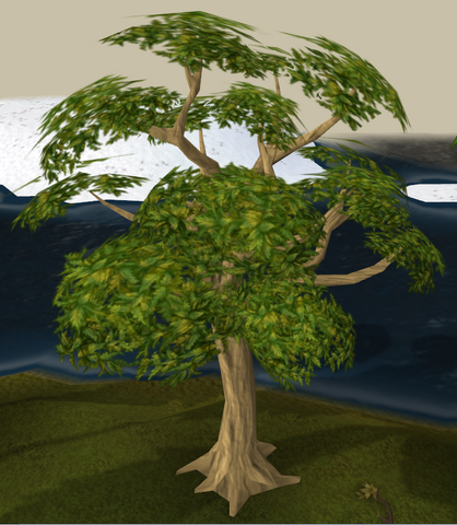 Plik:Mahogany tree.png