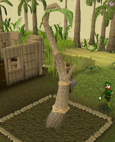 File:Calquat6.png