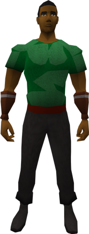 File:Retro meshed crew neck.png