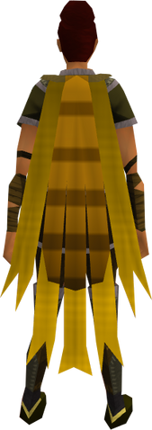 File:Team-19 cape equipped.png