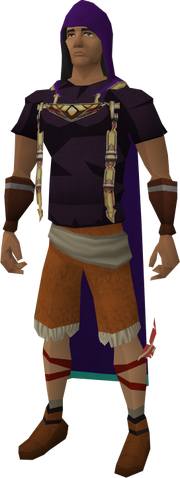 File:Divination hood equipped.png