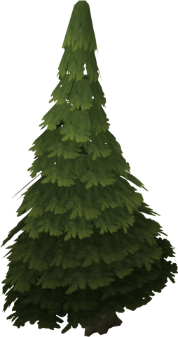 Plik:Evergreen tree.png