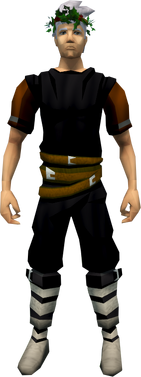File:Holly wreath equipped.png