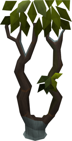 File:Thigat tree.png