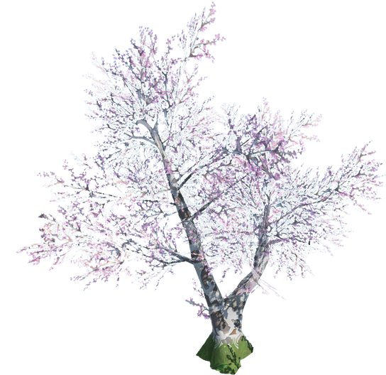 File:Cherry blossom.png