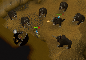 Dark beast Temple