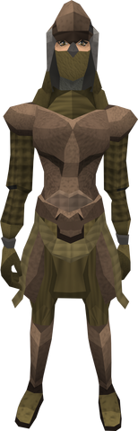 File:Dromoleather armour (female) equipped.png