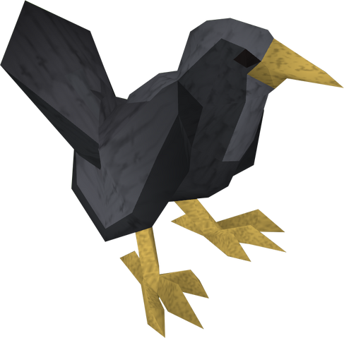 File:Blackbird detail.png