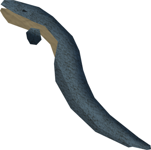 File:Electric eel detail.png