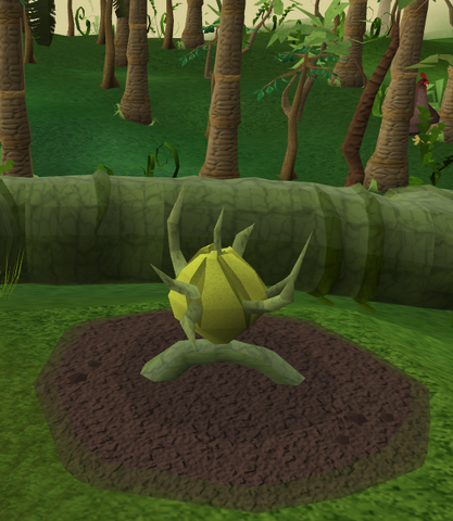 File:Kalferberry4.png