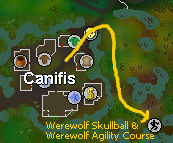 Werewolf agility location.png