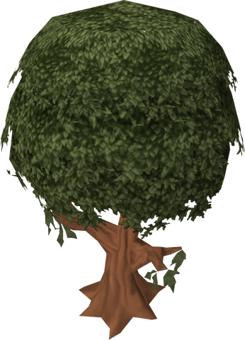 File:Cinnamon tree.png