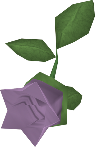 File:Cave nightshade detail.png