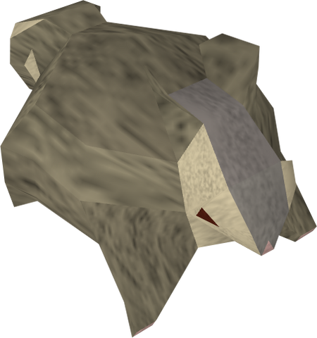 File:Chinchompa detail.png