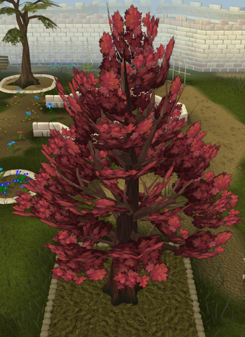 Plik:Maple tree detail.png