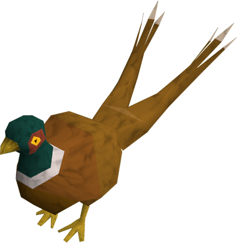 File:Pheasant2tail.png