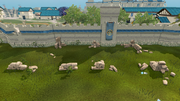 Ruins3