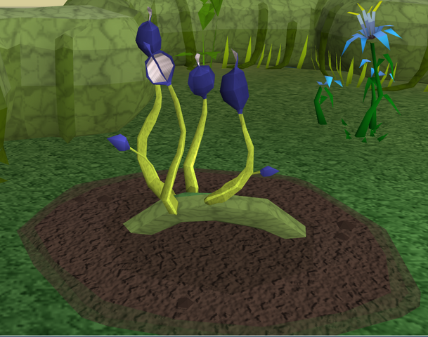 File:Blue vine blossom5.png