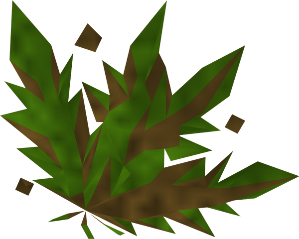 File:Grimy ranarr detail.png