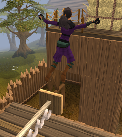 File:Agility2.png