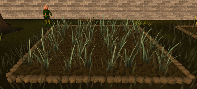 File:Reeds3.png