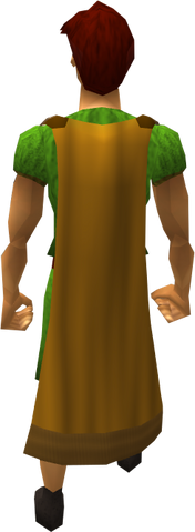 File:Cape (orange) equipped.png