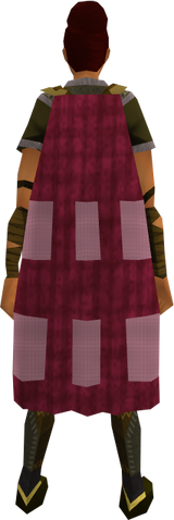 File:Team-4 cape equipped.png