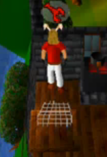 Lobster boven het hoofd.png