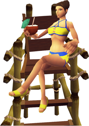 File:Lifeguard 4.png
