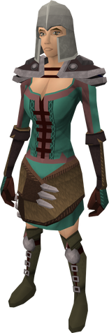File:Iron helm equipped.png