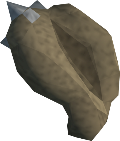 File:Conch shell detail.png
