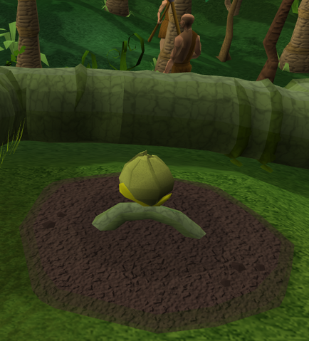 File:Lergberry2.png