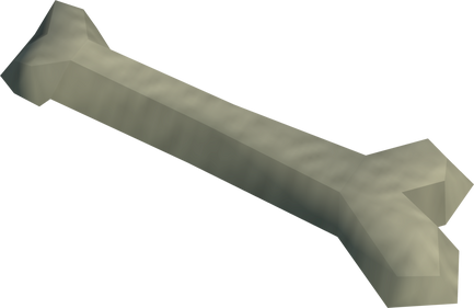 File:Humerus bone detail.png