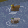 檔案:Duck.PNG