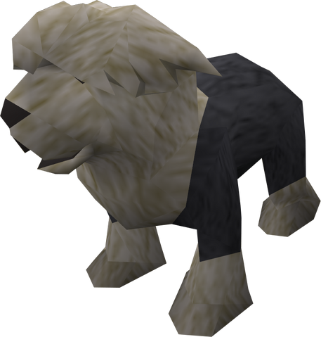 File:Sheepdog puppy (black) pet.png