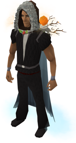 File:Gatherer's hood equipped.png