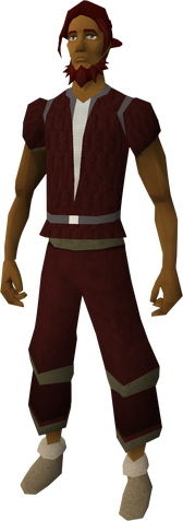File:Nardah shoes equipped.png