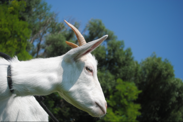 Súbor:Foto3..png