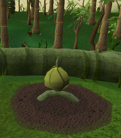 File:Kalferberry3.png