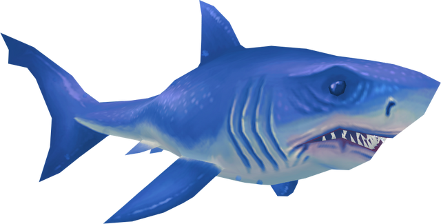 File:Great white shark (Aquarium).png