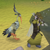 Fishing with an Ibis.png